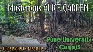 Alice Garden Pune University | Pune's One of Haunted Place | #AliceGarden #Hauntedplace #Pune 🌳🌿🍃🌿🌳🍃
