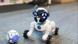 Top 5 coolest gadgets in 2023