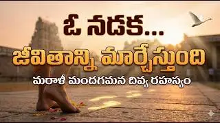 మరాళీ మందగమన: హంస నడకలా జీవితాన్ని ప్రశాంతంగా నడిపించే దివ్య నామం | Lalitha Sahasranamam