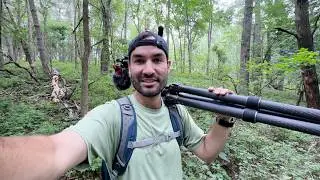 How I Filmed a Great Horned Owl in the Woods Behind My House &ndash; Wildlife Vlog