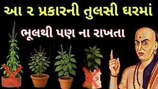 આ ૨ પ્રકારની તુલસી ઘરમાં મૂકી દો | VASTU SHASTRA TULASI PLANT | #vastutips #tulasi #vastushastra