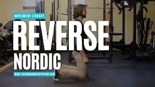 Reverse Nordic &ndash; How to Perform It Correctly | Trevor Kashey Nutrition