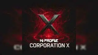 HI PROFILE - Corporation X (2012)