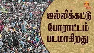 Tamil Movie on Jallikattu Protest | Santhosh | Latest Tamil Cinema News | Thamizh Padam