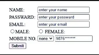 Make Your First HTML Form - Easy Explanation(2022) || making simple login form by using only html