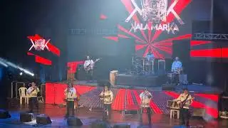 Mamita - Kalamarka en vivo
