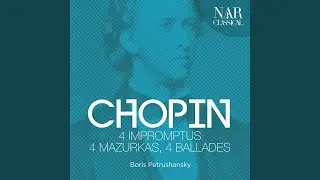 Ballade No. 1 in G Minor, Op. 23: I. Largo - Moderato