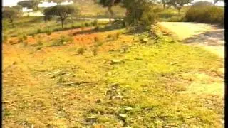 Rali de Almodovar 1999 - TRRS