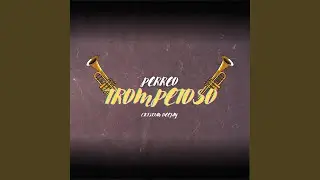 Perreo Trompetoso