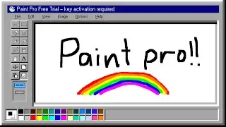 Paint Pro?