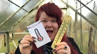 Reading a Thermometer 🌡