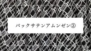 バックサテンアムンゼン③　生地紹介