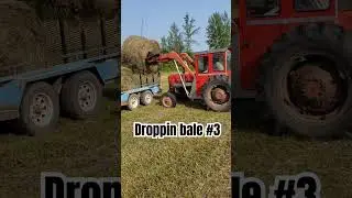 #hay #harvest ..A meager 4 #bales out of a possible 10 in 2024 #farming #forks #tractor #mf65 #5