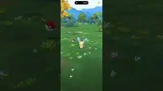 atrapando a Minun pokemon go