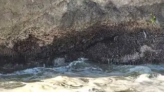 2024-08-11 devils churn 12 seawater funnel in . Oregon coastal highway
