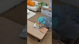 Wait... it worked 😂