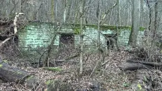 Old Coke Ovens on Fire Creek, West Virginia (New River Gorge National Park)