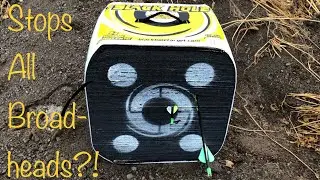 Black Hole 4-Sided Archery Target Review