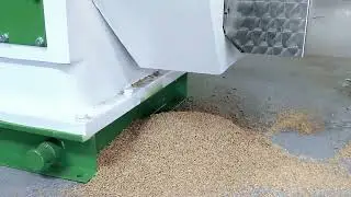 RICHI Chicken Feed Pellet Machine 3-4t/h Full Operation