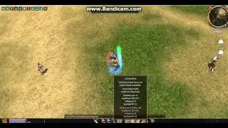 Metin2 P server Harmonia3 SW krit