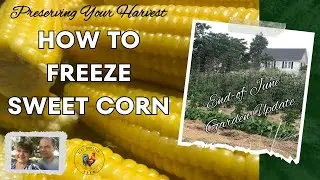 Garden Update and Freezing our First Patch of Sweet Corn