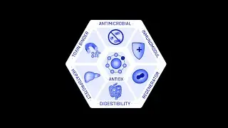Inspirada en la naturaleza Nutribiogenics desarrolla productos del futuro de la nutrición animal.