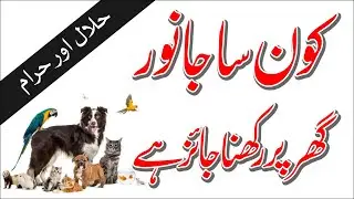 Can we keep PETS at Home according to Islam | By Muhammad Asif Farooqi