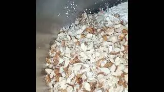 Mexican Almond Cookies/Quick & Easy/Step by Step/How to bake/Recipe/English.