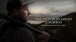 A Norwegian roe buck hunt | Part 1 | The antlered ghost of Norway