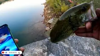 lago privado 3 largemouth