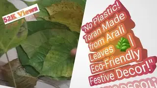 Eco-Friendly Arali Leaf Toran 🌿 | Traditional Decor Without Plastic!