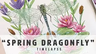 Spring Dragonfly - Watercolor Painting Process TIMELAPSE