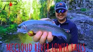 Trout Fishing California's McCloud River Falls