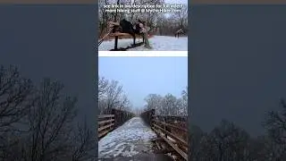 ⛏️ day hike! / myre-big island state park / icy hiking in southern minnesota