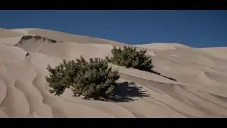 Howling Wind Desert Sounds Blowing Across Sand Dunes