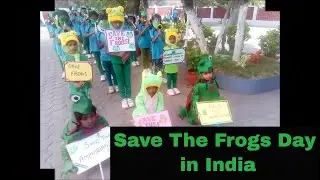 Save The Frogs Day 2019 in Coimbatore, Tamil Nadu, India