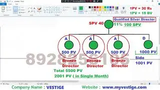 Vestige travel fund calculation | Vestige Business Plan In Hindi | vestige company