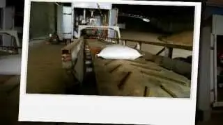 sugar beet pulp pellets