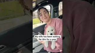 We Got a New Family Member ❤️ #couples #marriedlife
