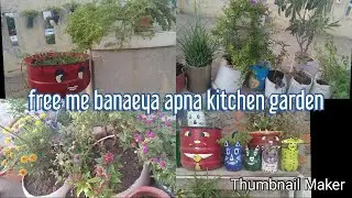 #wastematerialreuse #chhatparbagwani #terracegarden zero investment se banaya kitchen garden