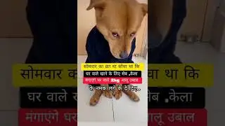 cheating ho gyi mitttrrr 🙄🙄 #shortvideo #comedymove #viralvideo #love #entertainment #lol 🤣🤣🤣😂😂