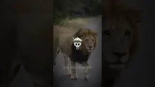 Cute vs. Dangerous Animals on the Road 🐾⚠ #aura #sigma #animals #giant #epicmoments #edit #shorts