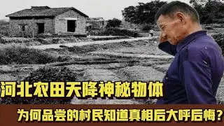 河北田地天降物品，不知是何物，專家調查真相大白后村民卻反胃了