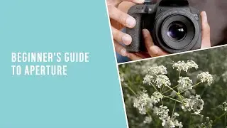 Beginner's guide to aperture at Argos