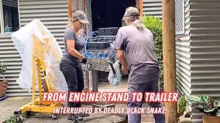 Loading and tie down of engine on to trailer interrupted by a Black Snake! #engine #enginebuild