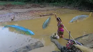 Lucky Fishing - Catch big fish in the lake with a large capacity pump