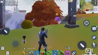 Creative Destruction no win but crazy no scope