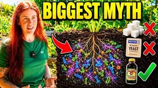 The Truth About Feeding Soil Microbes