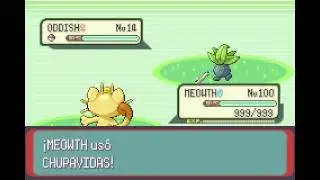 POKEMON EMERALD | MEOWTH | CHUPAVIDAS | LEECH LIFE