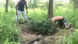 Sure 1M Views Collecting Serut Incredible Raft Style!!! YAMADORI